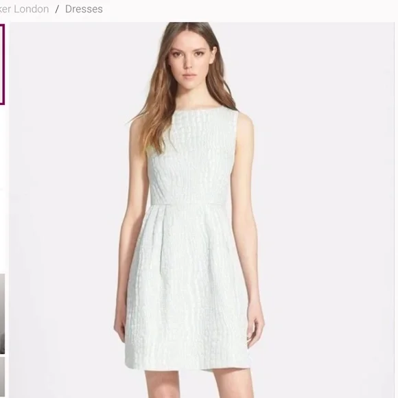 green emerald velvet dress Buy Ted Baker Women's Eleta Distinguishing Rose Print Fit and Flare Dress,  Mint, 1 at Amazon.in main image 0